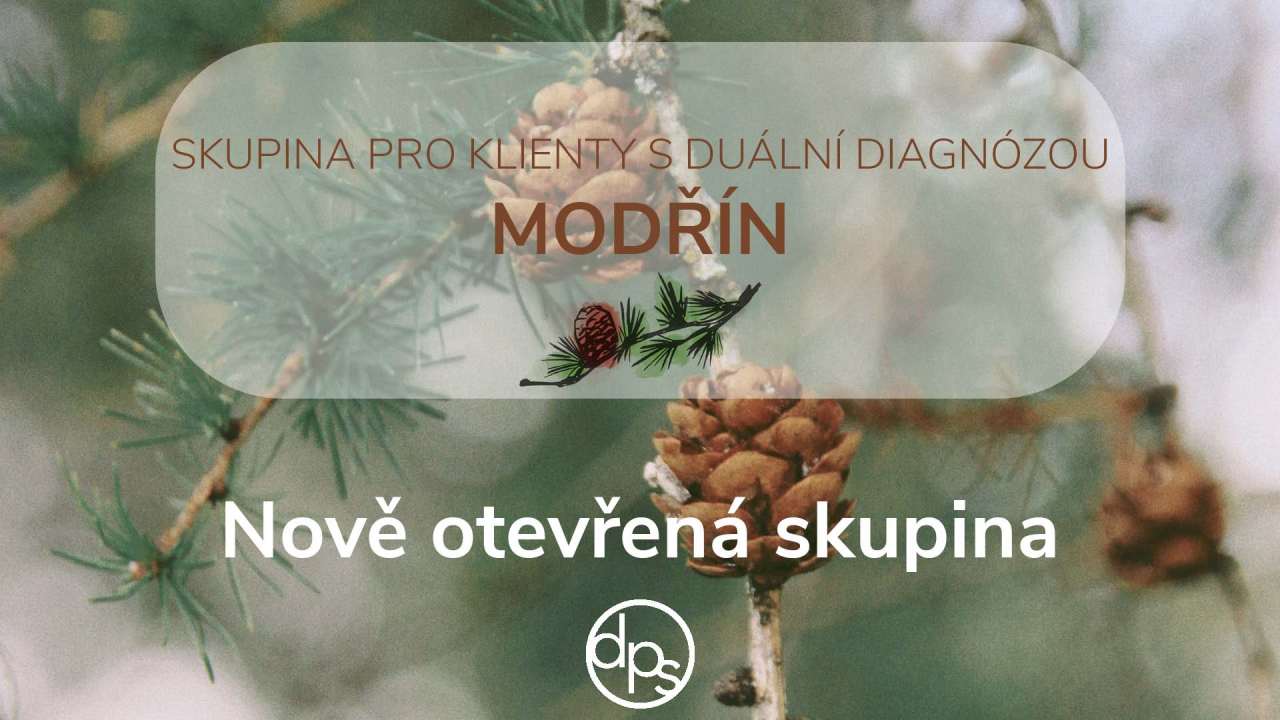 PŘEDSTAVUJEME: MODŘÍN – SKUPINA PRO KLIENTY S DUÁLNÍ DIAGNÓZOU