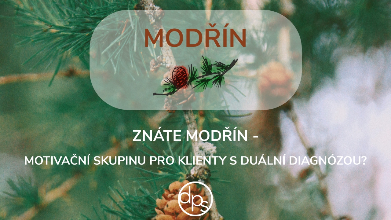 Znáte Modřín - motivační skupinu pro klienty s duální diagnózou?