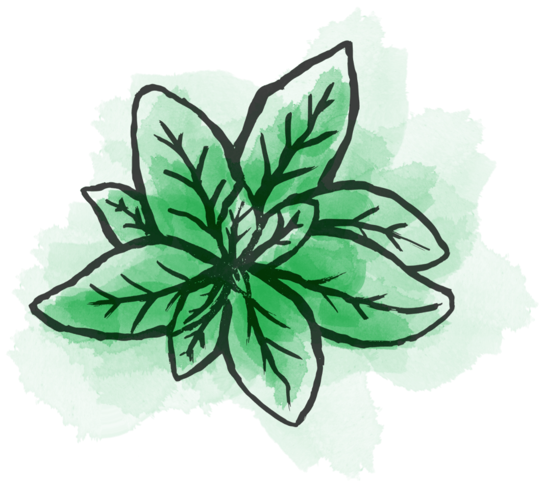 líska