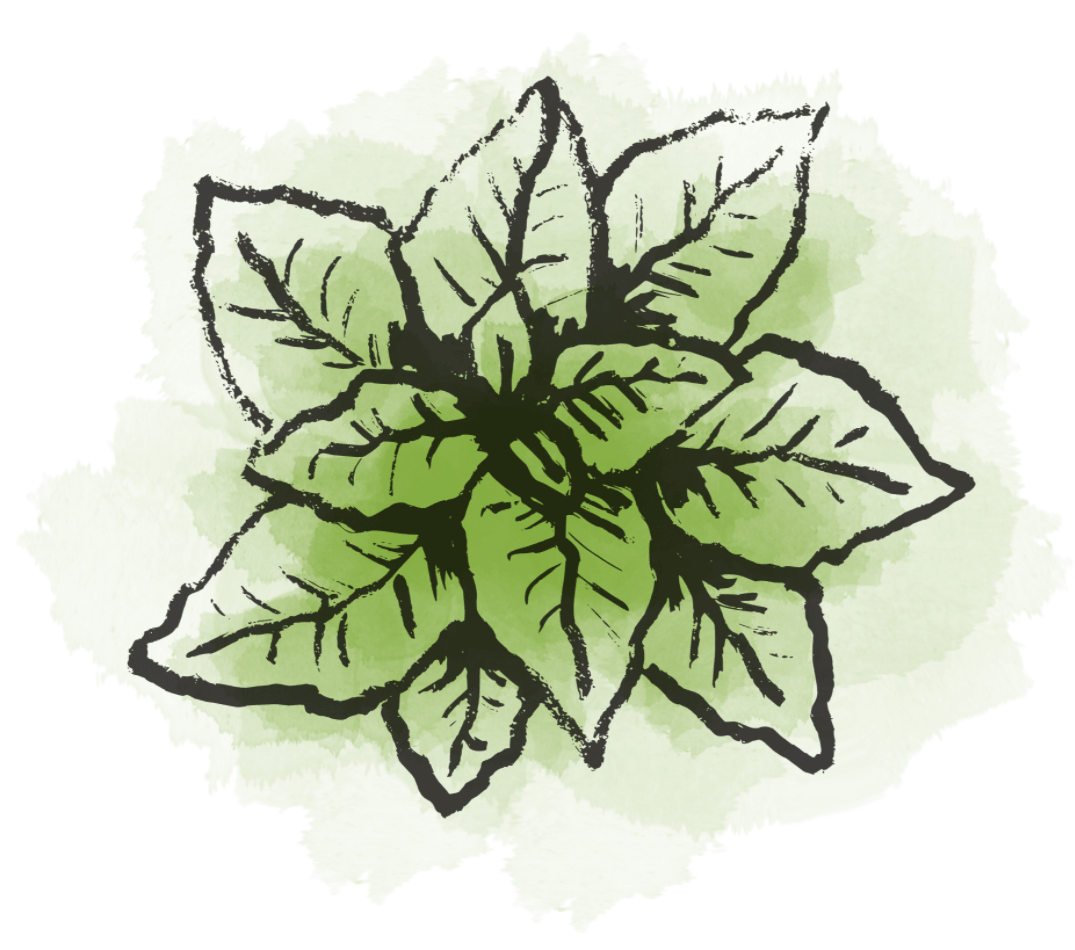 líska