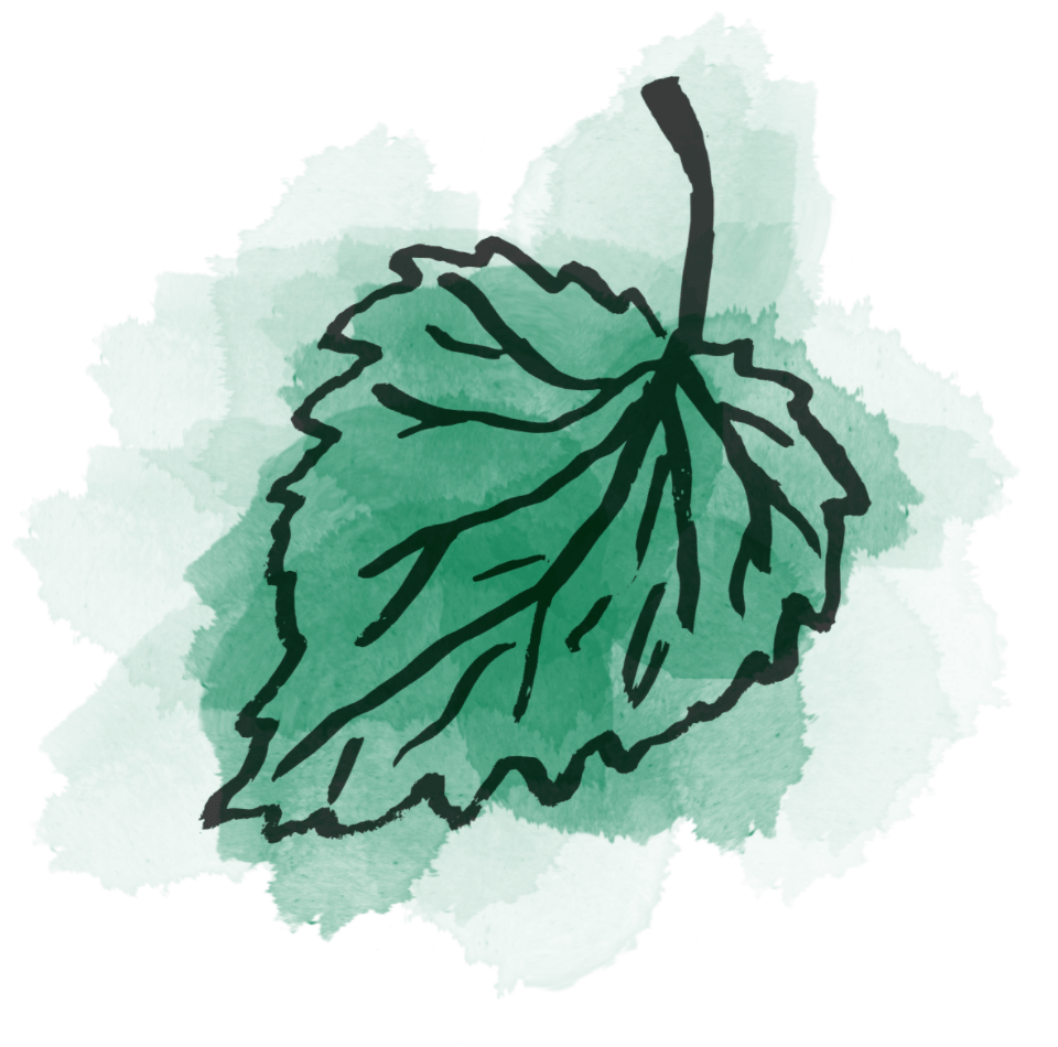 líska