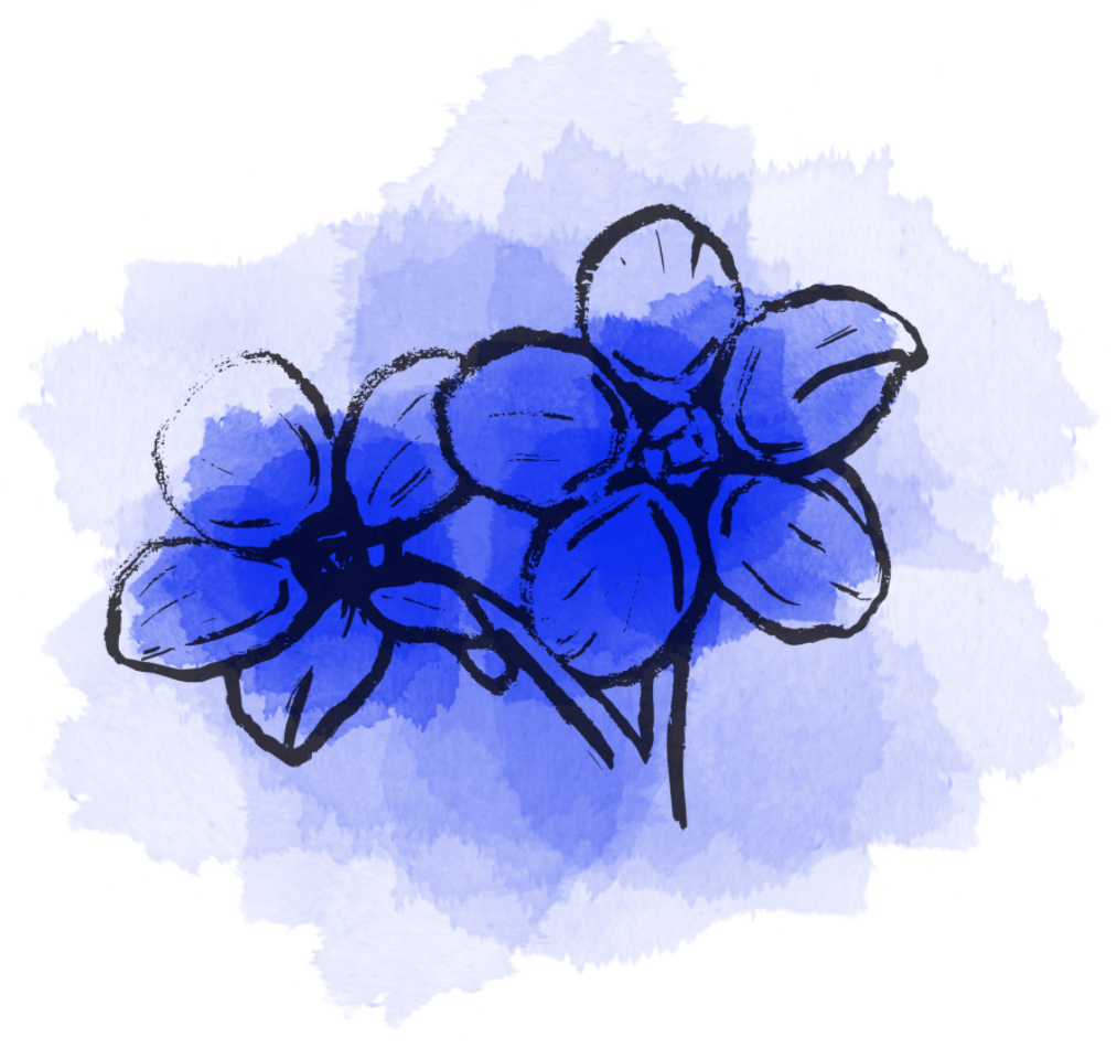 líska